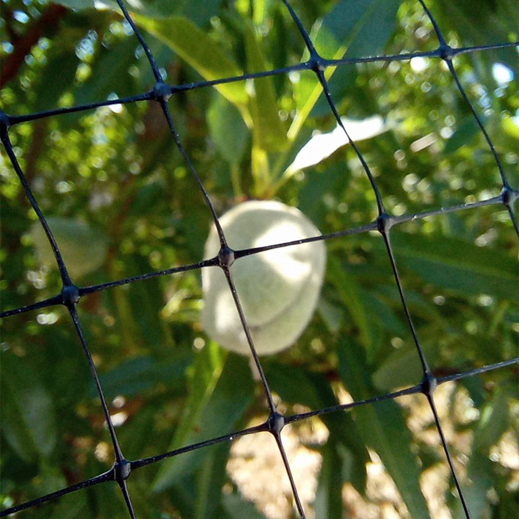 Malla Antipájaro 2x10 metros