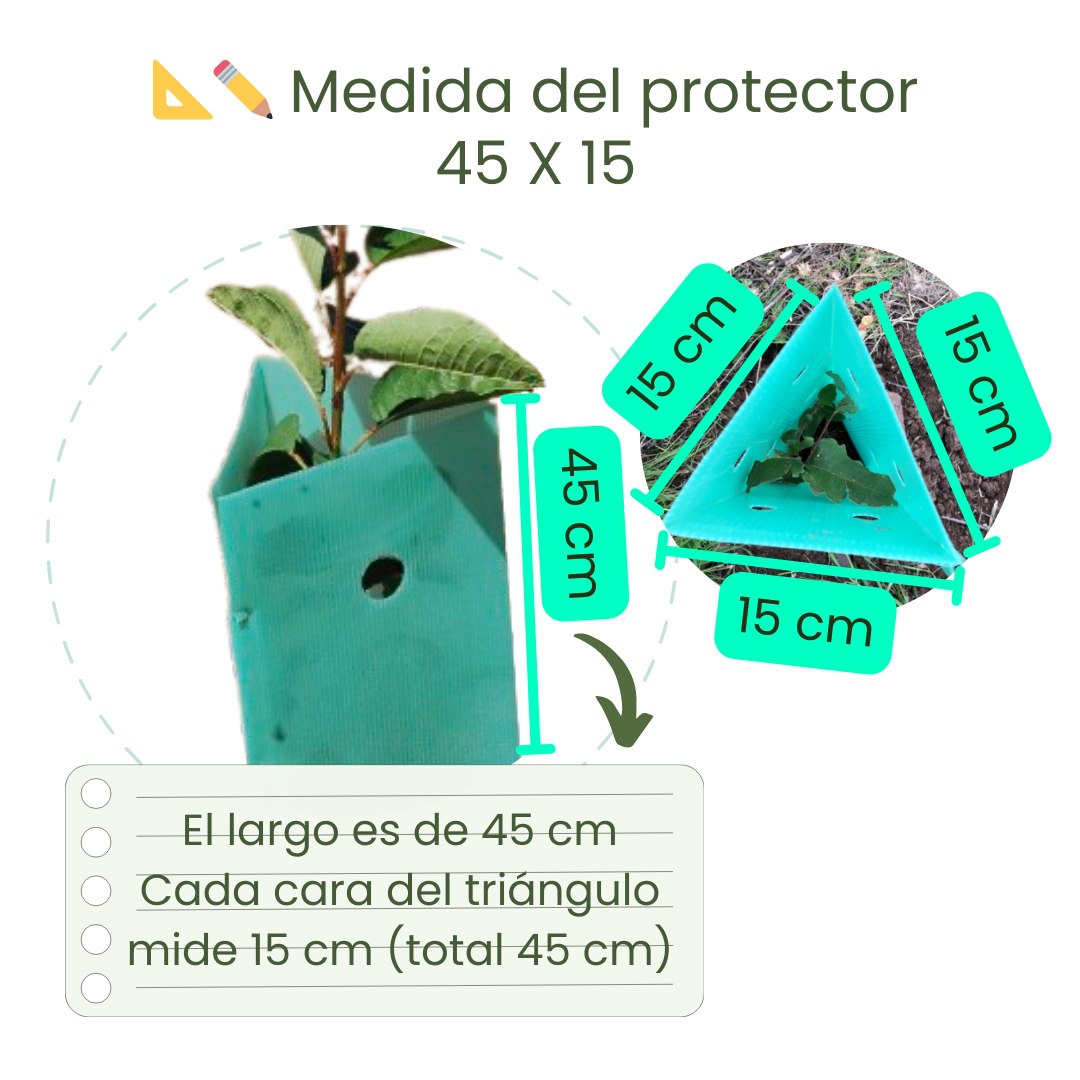 Pack 10 protectores Árbol 45x15