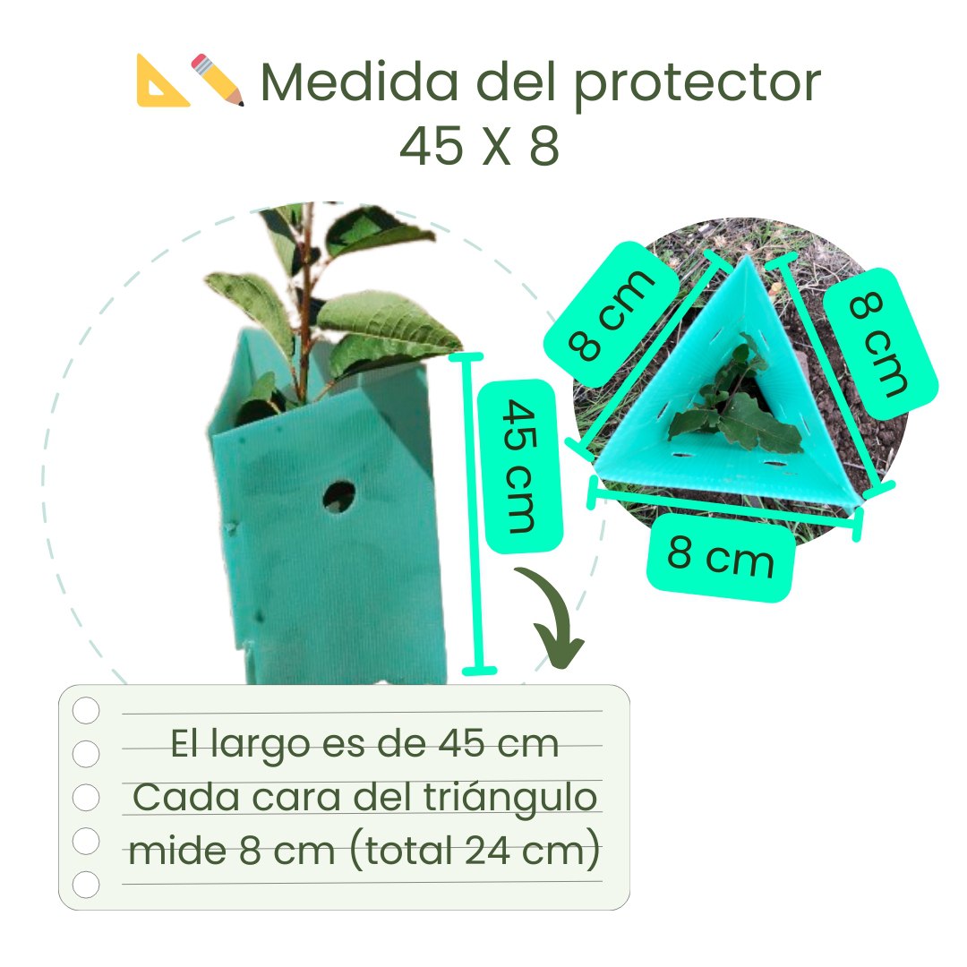 Pack 10 protectores Árbol 45x8