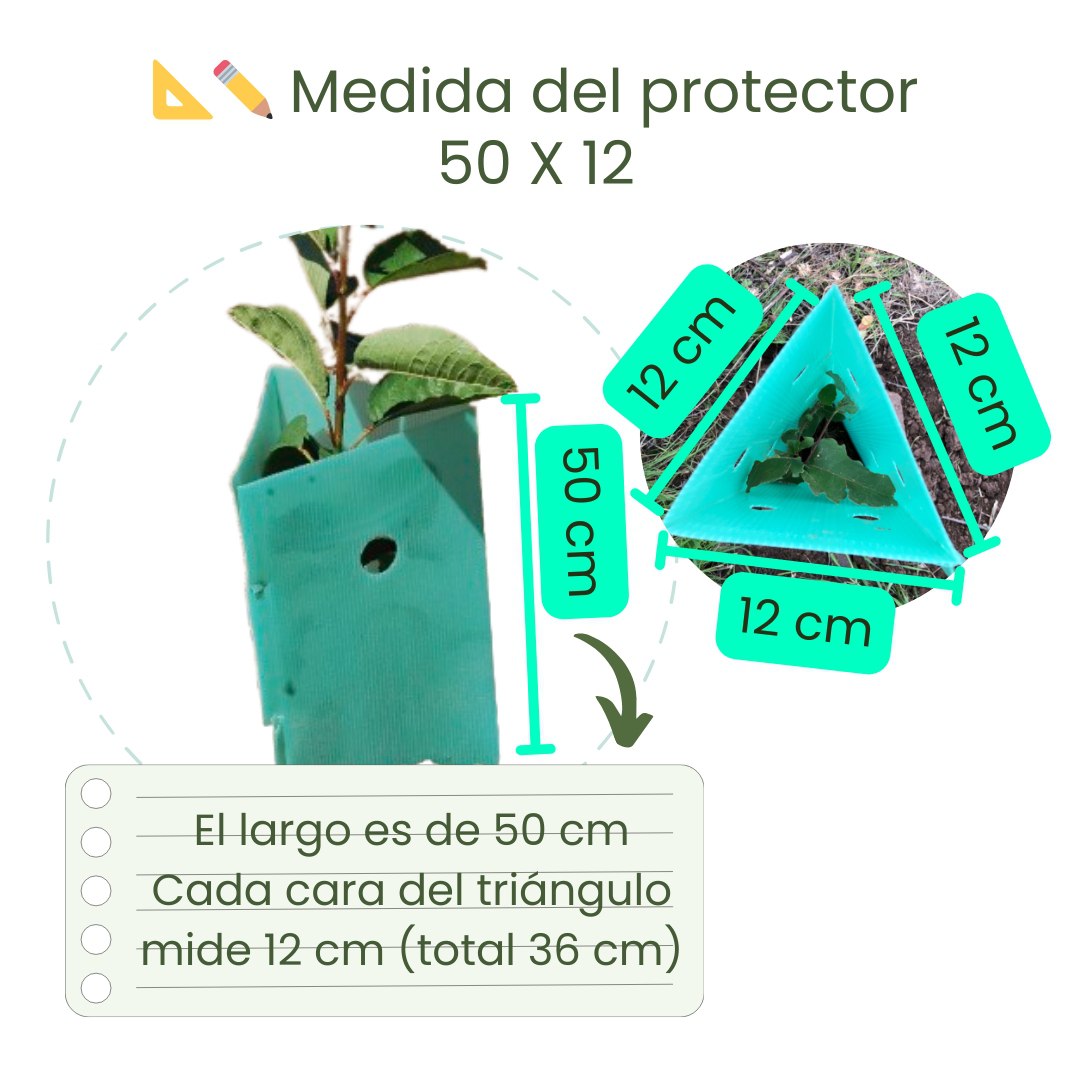 Pack 10 protectores Árbol 50x12