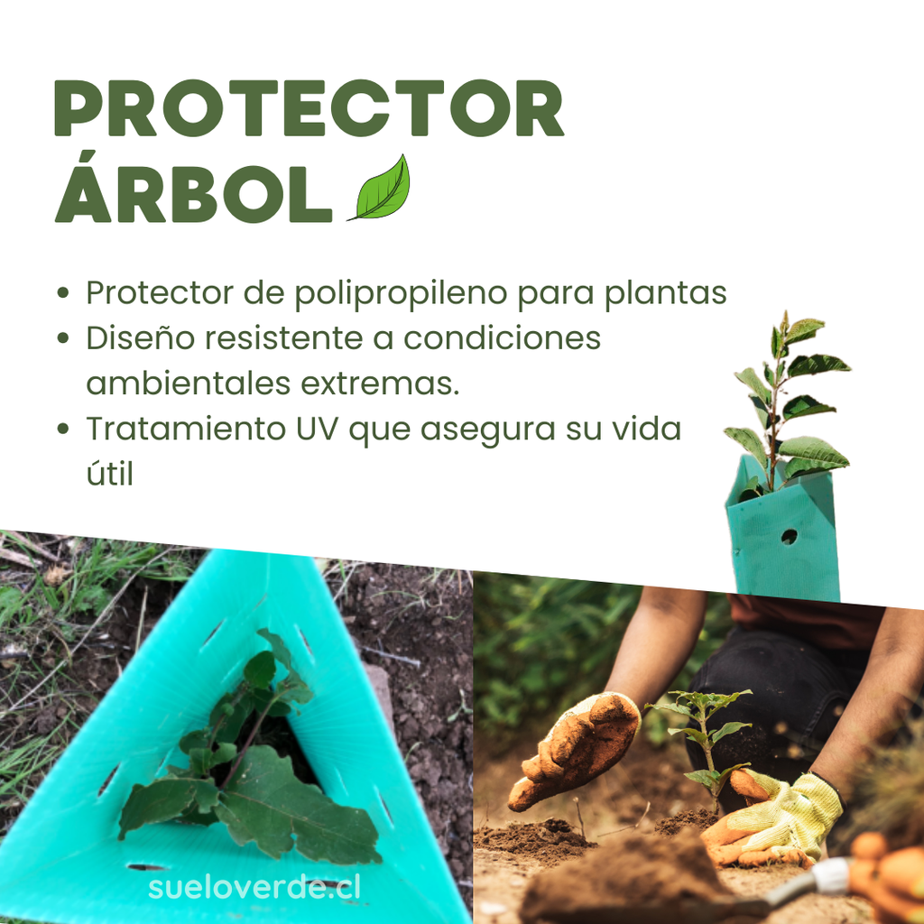 Pack 10 protectores Árbol 45x15
