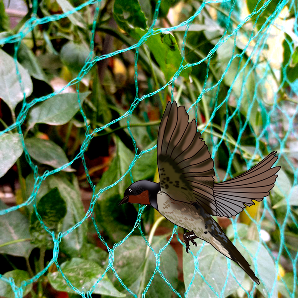 Malla Antipájaro 4x10 metros