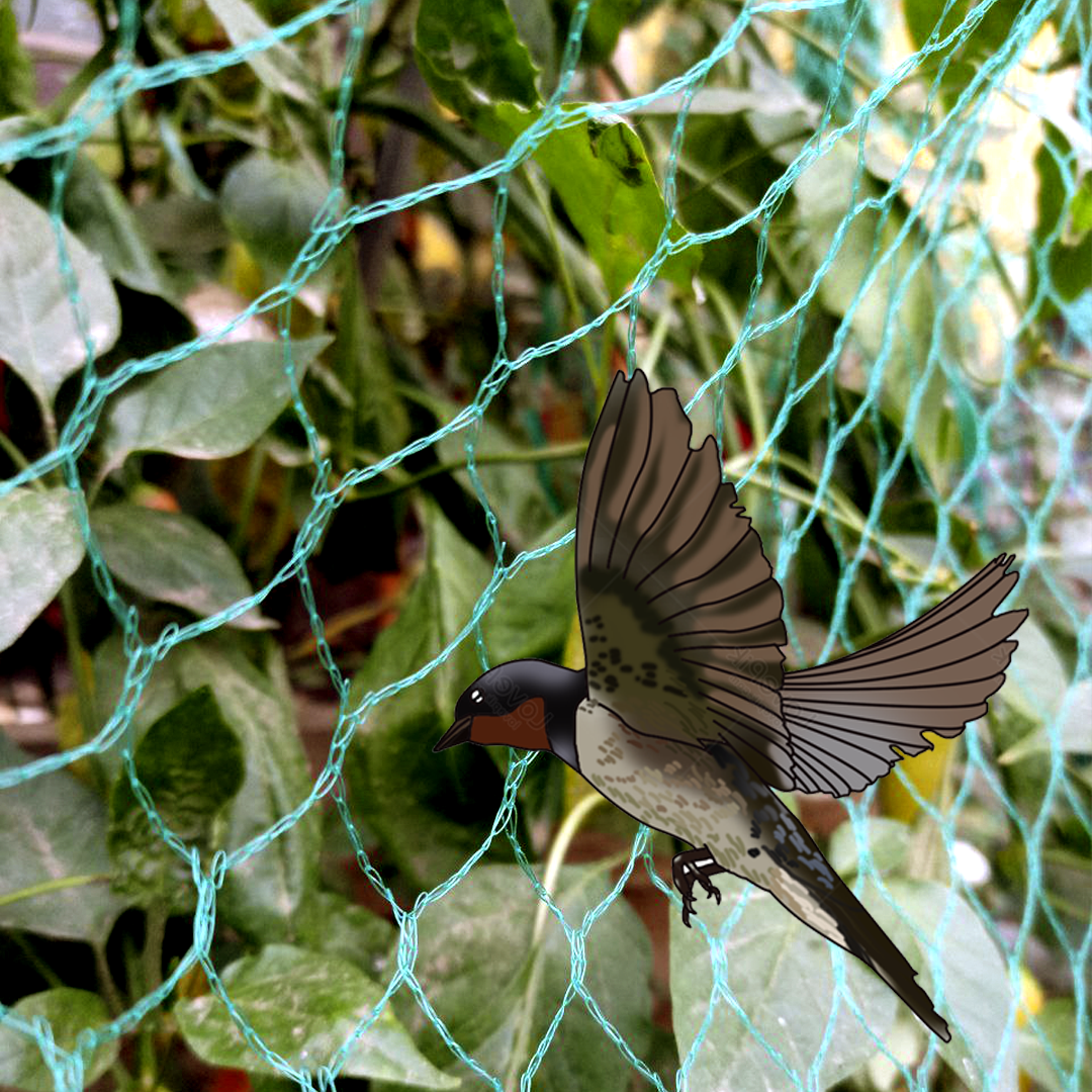 Malla Antipájaro 4x10 metros