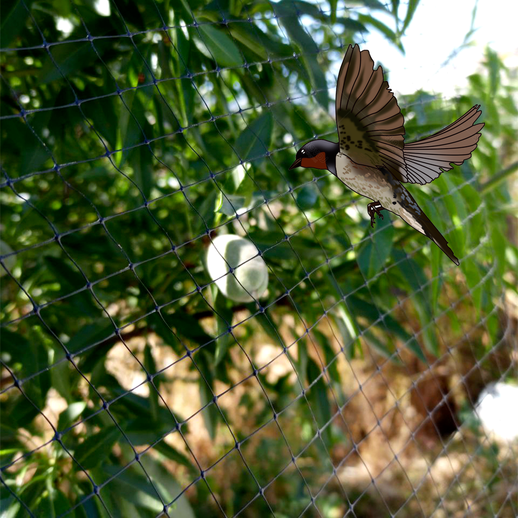 Malla Antipájaro 2x10 metros